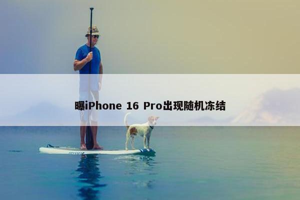 曝iPhone 16 Pro出现随机冻结