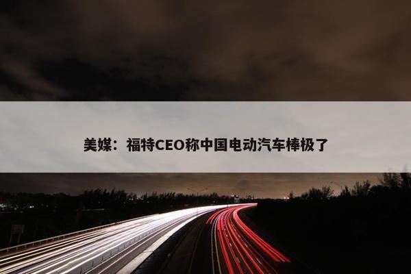 美媒：福特CEO称中国电动汽车棒极了