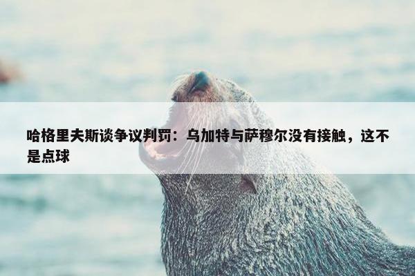 哈格里夫斯谈争议判罚：乌加特与萨穆尔没有接触，这不是点球