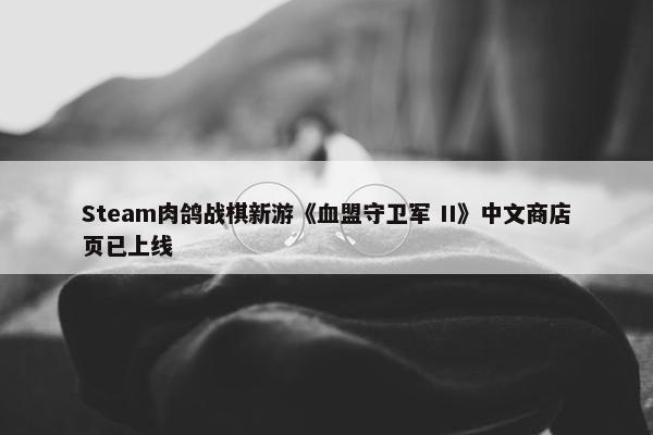 Steam肉鸽战棋新游《血盟守卫军 II》中文商店页已上线