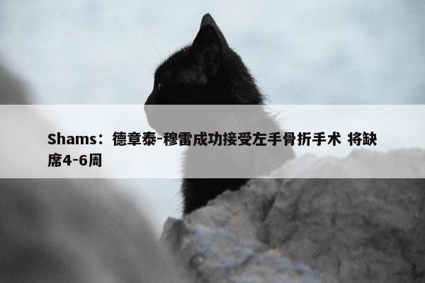 Shams：德章泰-穆雷成功接受左手骨折手术 将缺席4-6周