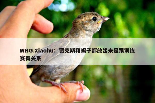 WBG.Xiaohu：贾克斯和蝎子都放出来是跟训练赛有关系