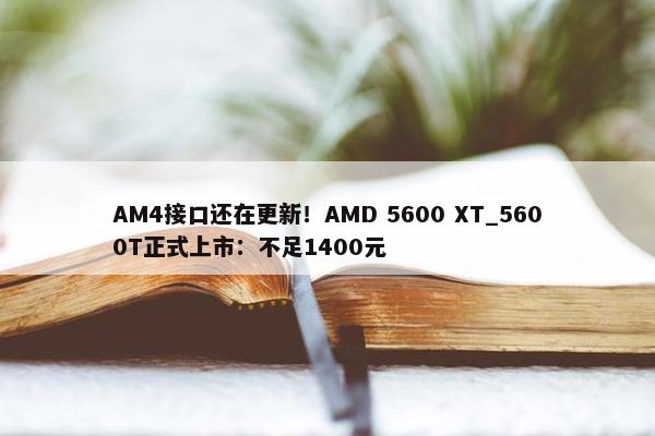 AM4接口还在更新！AMD 5600 XT_5600T正式上市：不足1400元