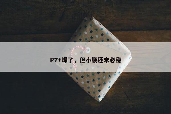 P7+爆了，但小鹏还未必稳