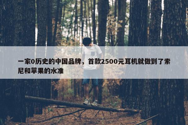 一家0历史的中国品牌，首款2500元耳机就做到了索尼和苹果的水准