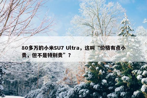 80多万的小米SU7 Ultra，这叫“价格有点小贵，但不是特别贵”？