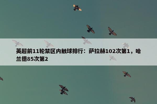 英超前11轮禁区内触球排行：萨拉赫102次第1，哈兰德85次第2