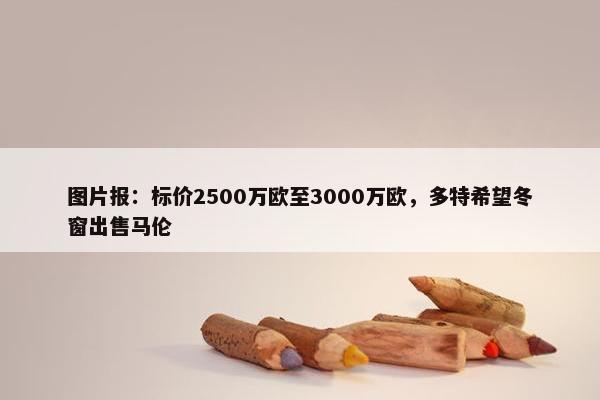 图片报：标价2500万欧至3000万欧，多特希望冬窗出售马伦