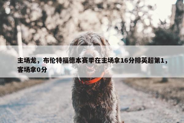 主场龙，布伦特福德本赛季在主场拿16分排英超第1，客场拿0分