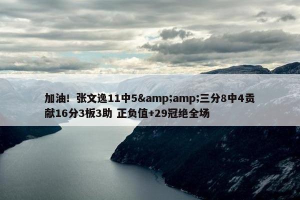 加油！张文逸11中5&amp;三分8中4贡献16分3板3助 正负值+29冠绝全场