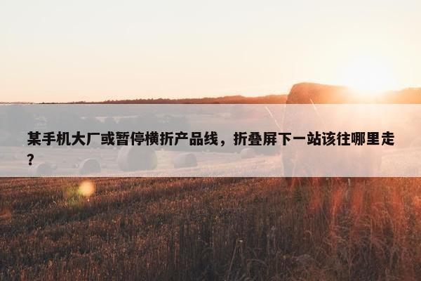 某手机大厂或暂停横折产品线，折叠屏下一站该往哪里走？