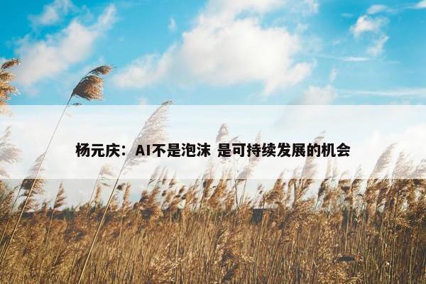 杨元庆：AI不是泡沫 是可持续发展的机会