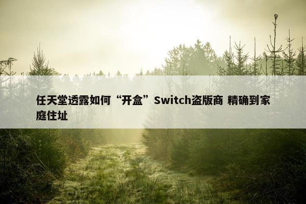 任天堂透露如何“开盒”Switch盗版商 精确到家庭住址