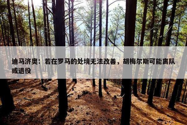 迪马济奥：若在罗马的处境无法改善，胡梅尔斯可能离队或退役