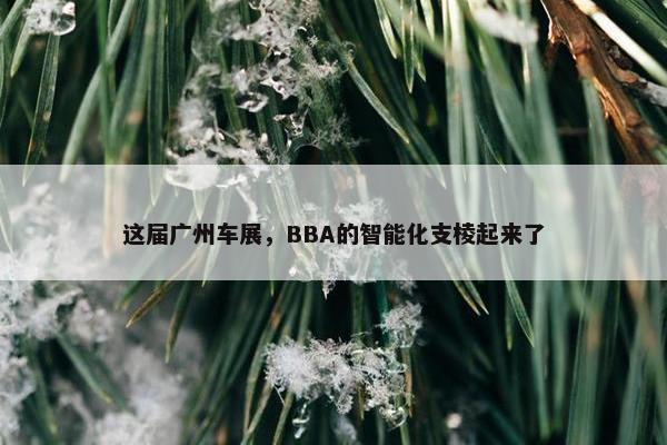 这届广州车展，BBA的智能化支棱起来了