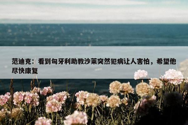 范迪克：看到匈牙利助教沙莱突然犯病让人害怕，希望他尽快康复