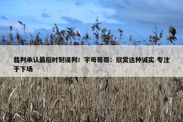 裁判承认最后时刻误判！字母哥哥：欣赏这种诚实 专注于下场