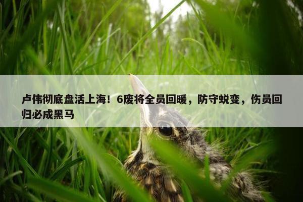 卢伟彻底盘活上海！6废将全员回暖，防守蜕变，伤员回归必成黑马