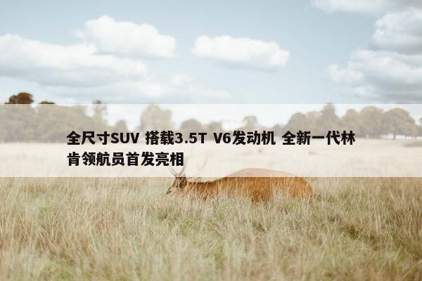 全尺寸SUV 搭载3.5T V6发动机 全新一代林肯领航员首发亮相