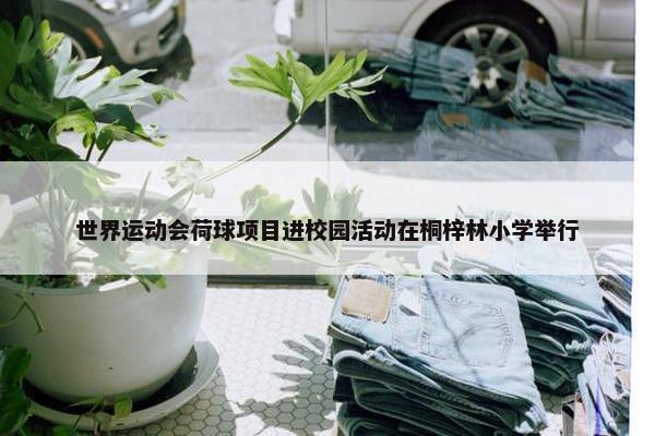 世界运动会荷球项目进校园活动在桐梓林小学举行