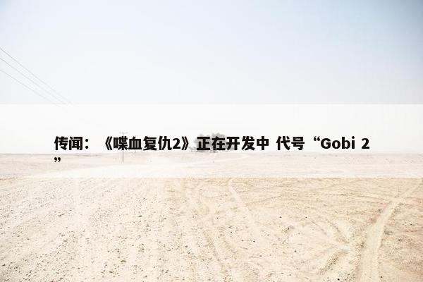 传闻：《喋血复仇2》正在开发中 代号“Gobi 2”