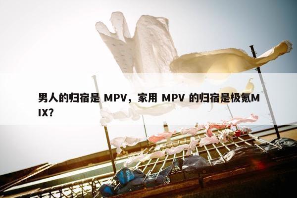 男人的归宿是 MPV，家用 MPV 的归宿是极氪MIX？