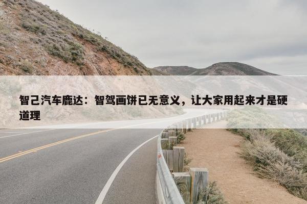 智己汽车鹿达：智驾画饼已无意义，让大家用起来才是硬道理