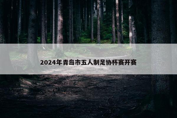 2024年青岛市五人制足协杯赛开赛