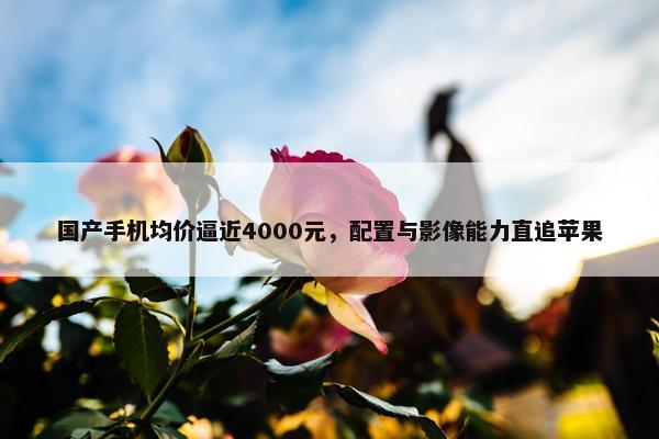 国产手机均价逼近4000元，配置与影像能力直追苹果