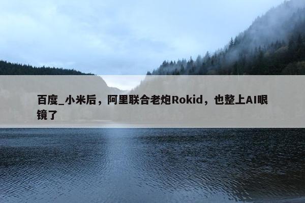 百度_小米后，阿里联合老炮Rokid，也整上AI眼镜了