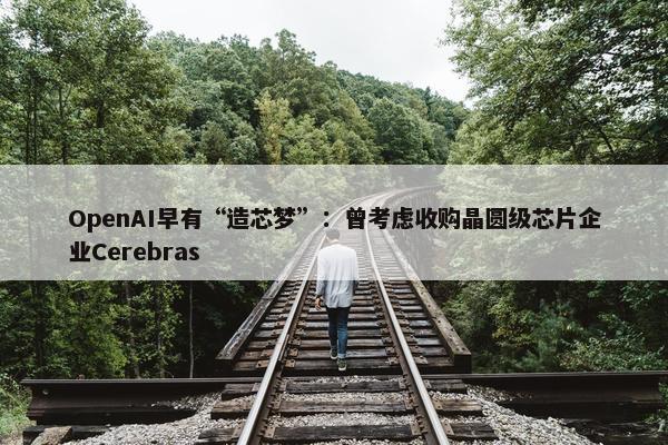 OpenAI早有“造芯梦”：曾考虑收购晶圆级芯片企业Cerebras