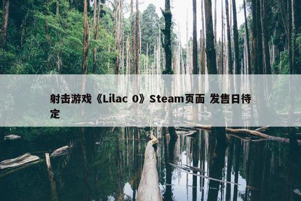 射击游戏《Lilac 0》Steam页面 发售日待定