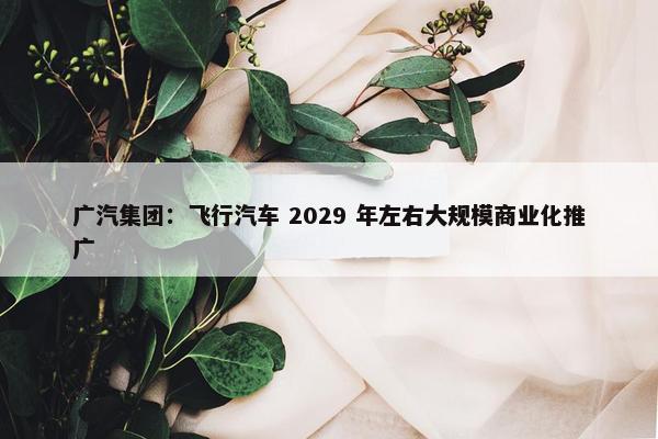 广汽集团：飞行汽车 2029 年左右大规模商业化推广