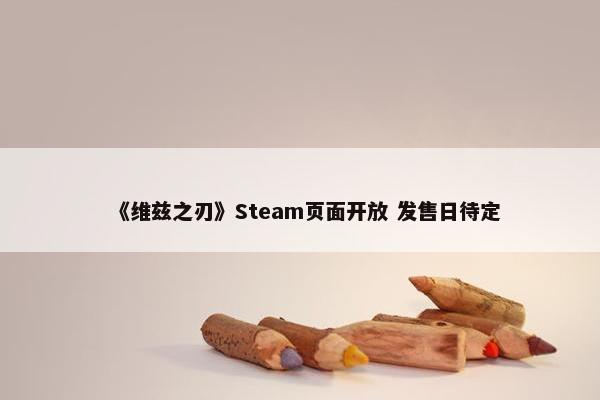 《维兹之刃》Steam页面开放 发售日待定