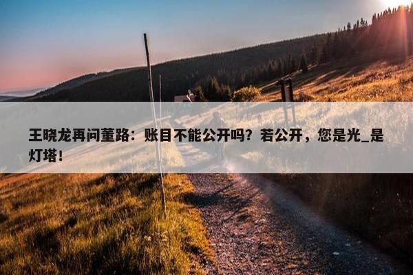 王晓龙再问董路：账目不能公开吗？若公开，您是光_是灯塔！