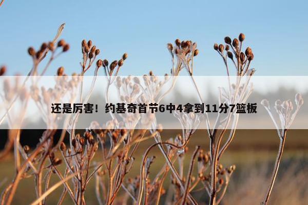 还是厉害！约基奇首节6中4拿到11分7篮板