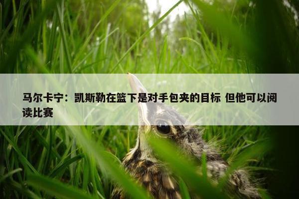 马尔卡宁：凯斯勒在篮下是对手包夹的目标 但他可以阅读比赛