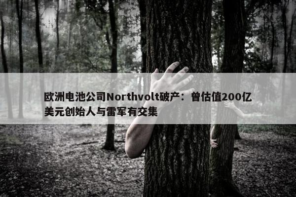 欧洲电池公司Northvolt破产：曾估值200亿美元创始人与雷军有交集