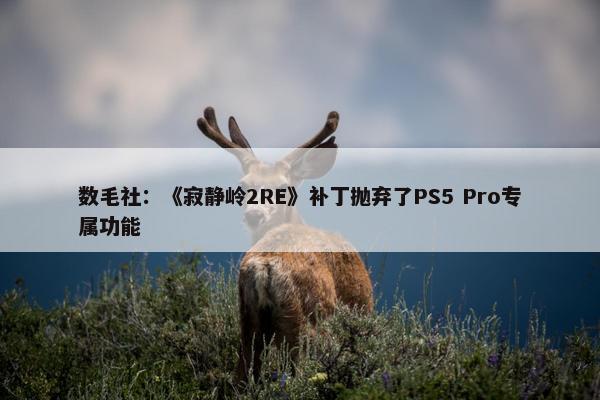 数毛社：《寂静岭2RE》补丁抛弃了PS5 Pro专属功能