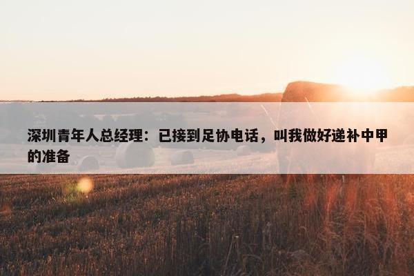 深圳青年人总经理：已接到足协电话，叫我做好递补中甲的准备