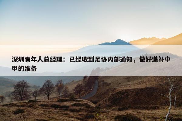 深圳青年人总经理：已经收到足协内部通知，做好递补中甲的准备