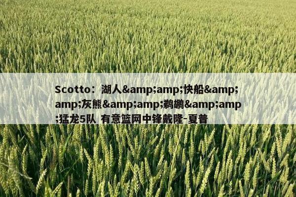 Scotto：湖人&amp;快船&amp;灰熊&amp;鹈鹕&amp;猛龙5队 有意篮网中锋戴隆-夏普