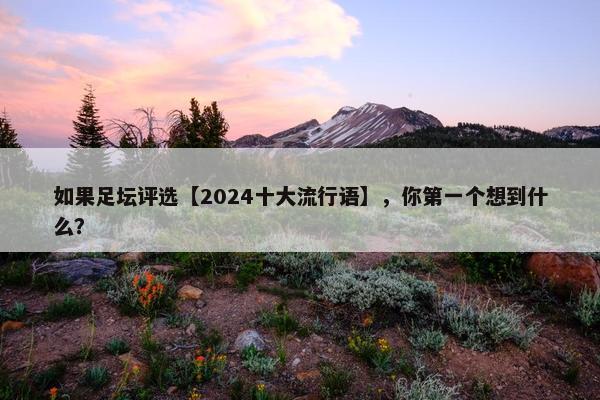 如果足坛评选【2024十大流行语】，你第一个想到什么？