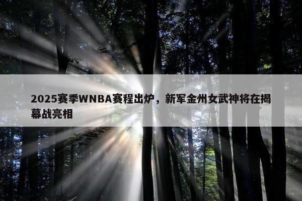 2025赛季WNBA赛程出炉，新军金州女武神将在揭幕战亮相