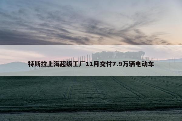 特斯拉上海超级工厂11月交付7.9万辆电动车