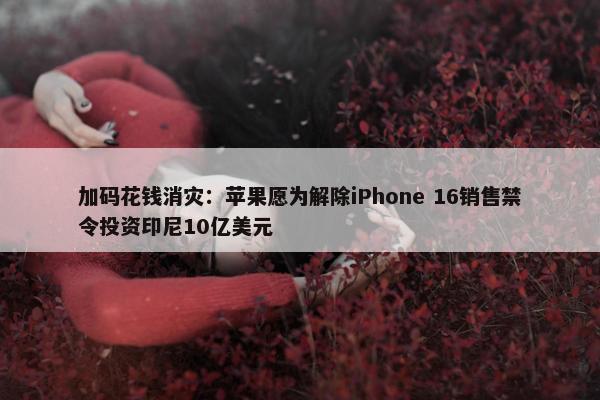 加码花钱消灾：苹果愿为解除iPhone 16销售禁令投资印尼10亿美元