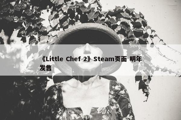 《Little Chef 2》Steam页面 明年发售