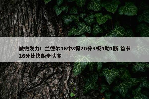 微微发力！兰德尔16中8得20分4板4助1断 首节16分比快船全队多