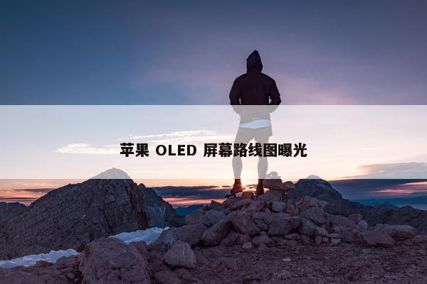 苹果 OLED 屏幕路线图曝光