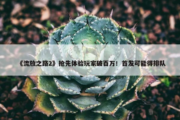 《流放之路2》抢先体验玩家破百万！首发可能得排队